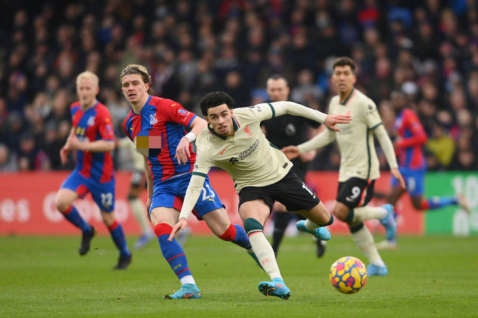 索勒的一条 索勒的一条