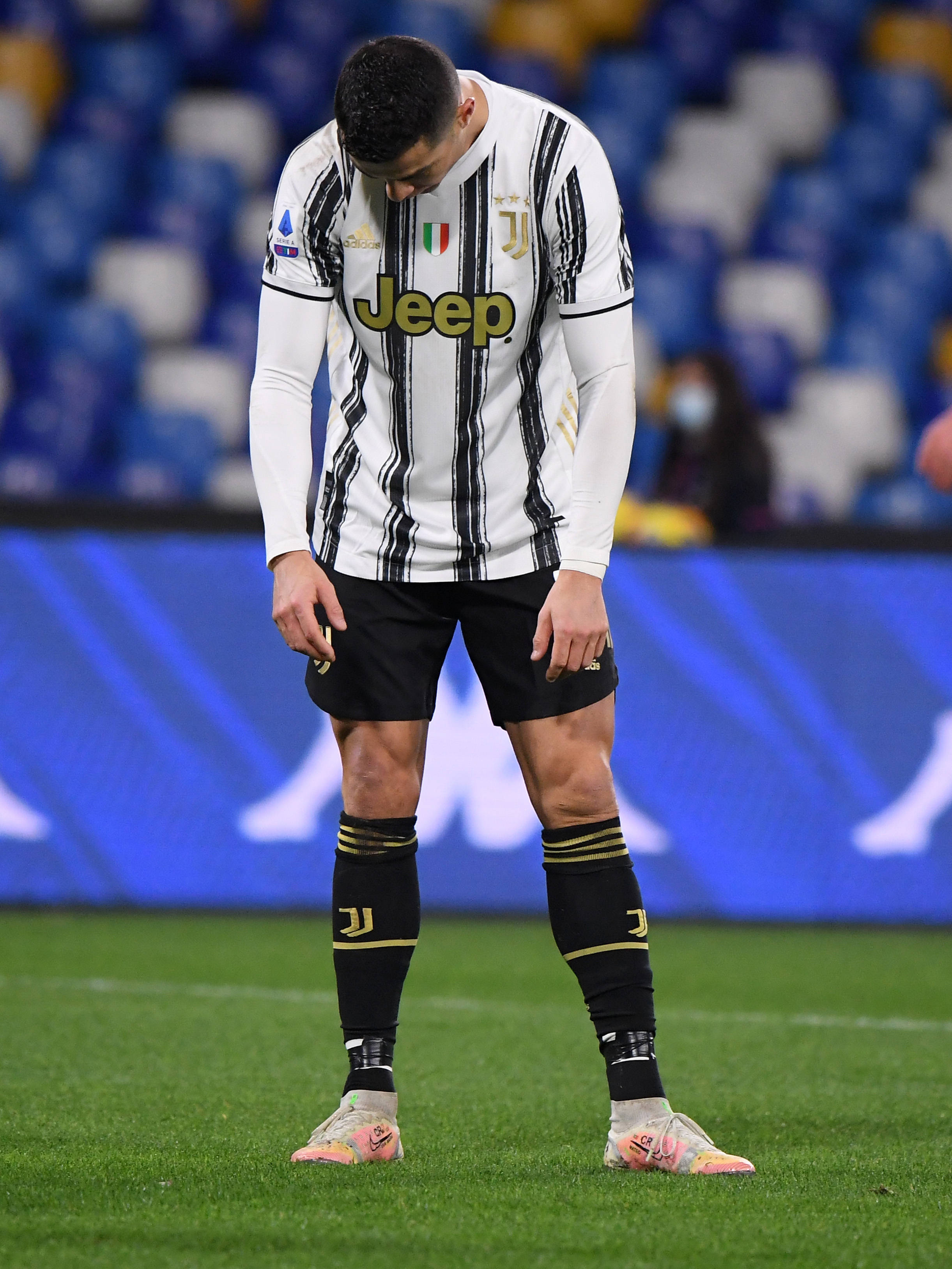 动地诠释了 动地诠释了